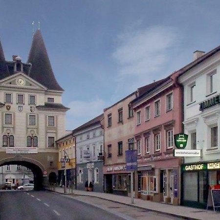 Gasthof Hofbauer Schwanenstadt エクステリア 写真